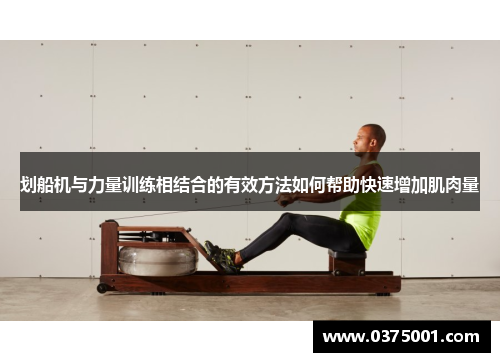 划船机与力量训练相结合的有效方法如何帮助快速增加肌肉量