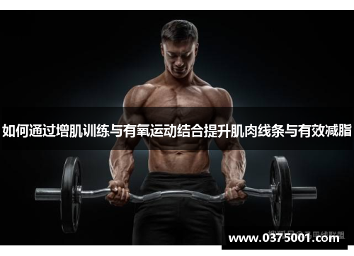 如何通过增肌训练与有氧运动结合提升肌肉线条与有效减脂