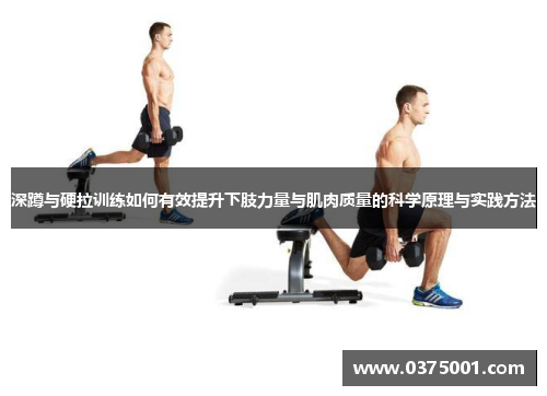 深蹲与硬拉训练如何有效提升下肢力量与肌肉质量的科学原理与实践方法