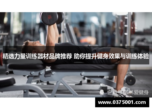 精选力量训练器材品牌推荐 助你提升健身效果与训练体验