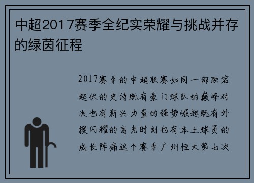 中超2017赛季全纪实荣耀与挑战并存的绿茵征程